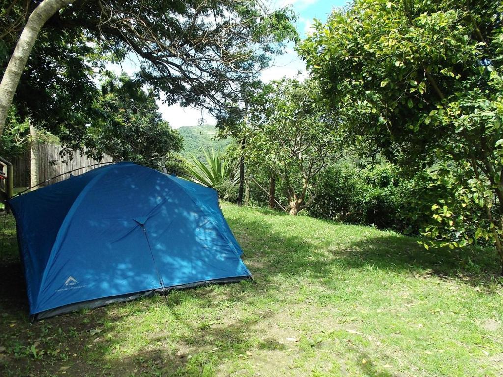 Amapondo Backpacker Lodge Port Saint Johnʼs Esterno foto