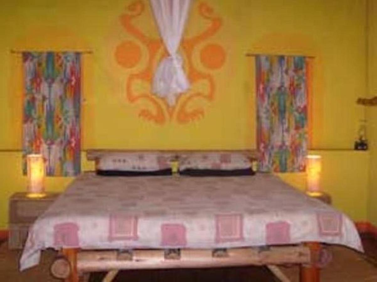 Amapondo Backpacker Lodge Port Saint Johnʼs Esterno foto